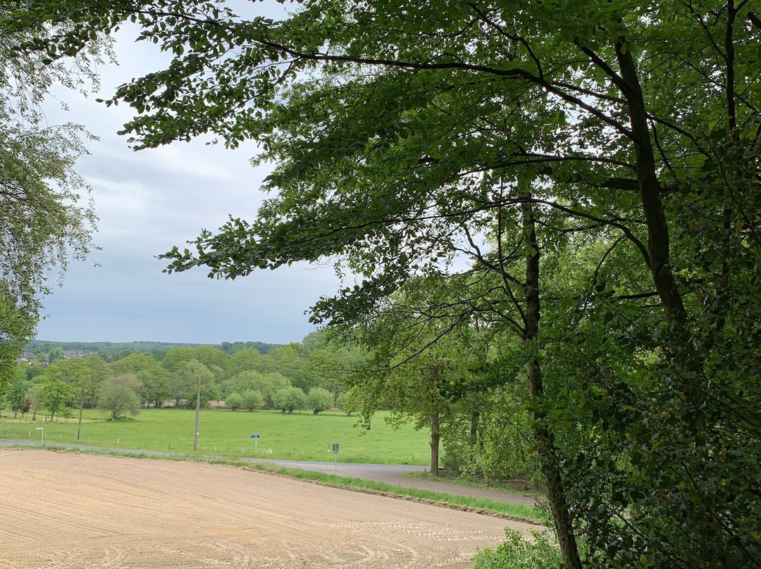 Hotel Huenxe Ost主图