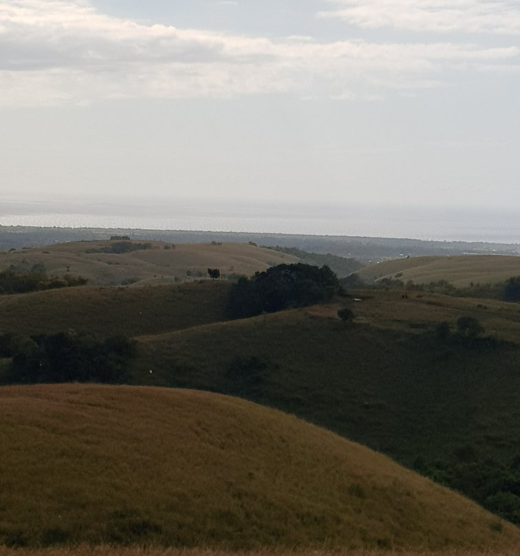 Lendongara Hill景点图片