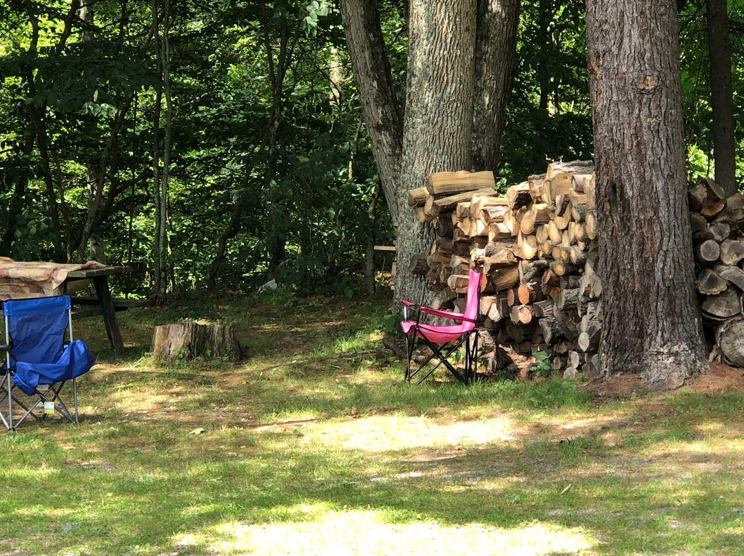 The Creekside Inn主图