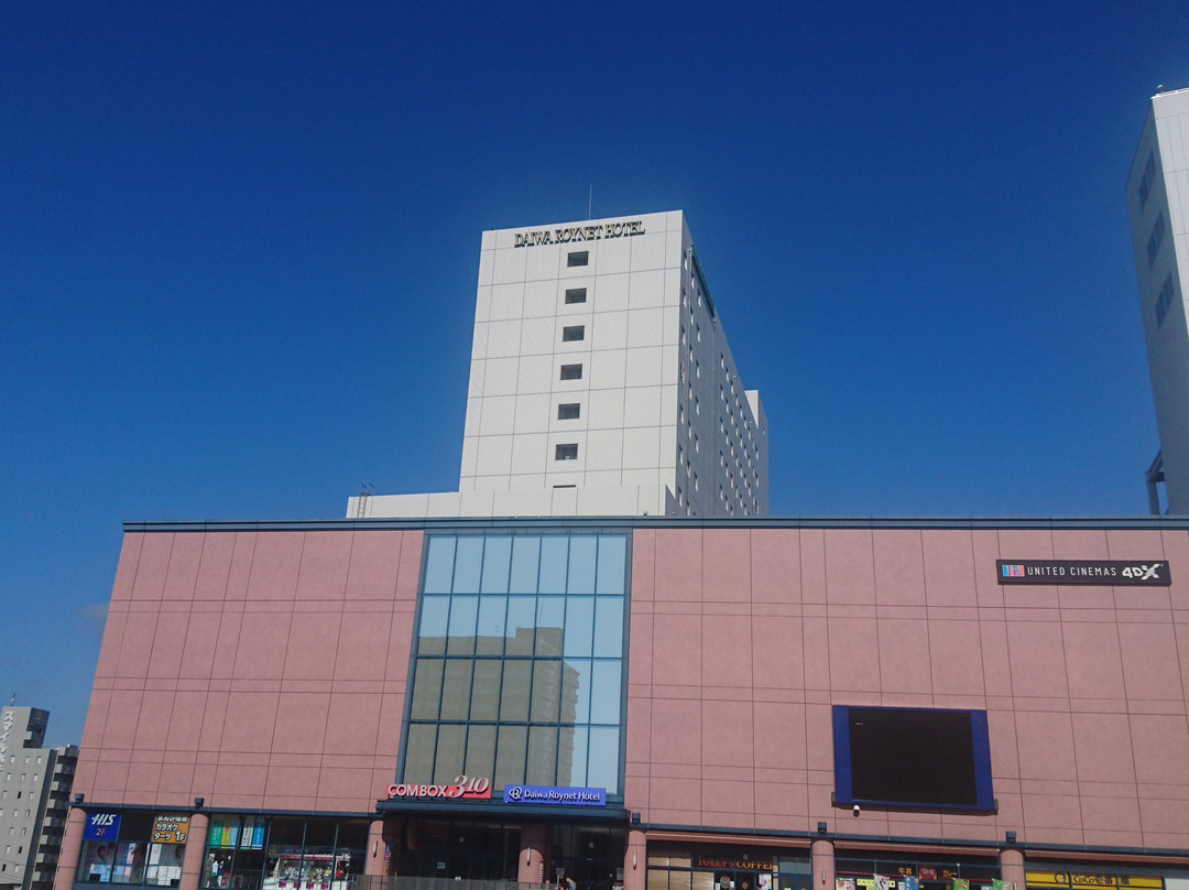 水户戴哇鲁内酒店主图