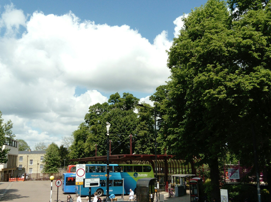 City Sightseeing Cambridge景点图片