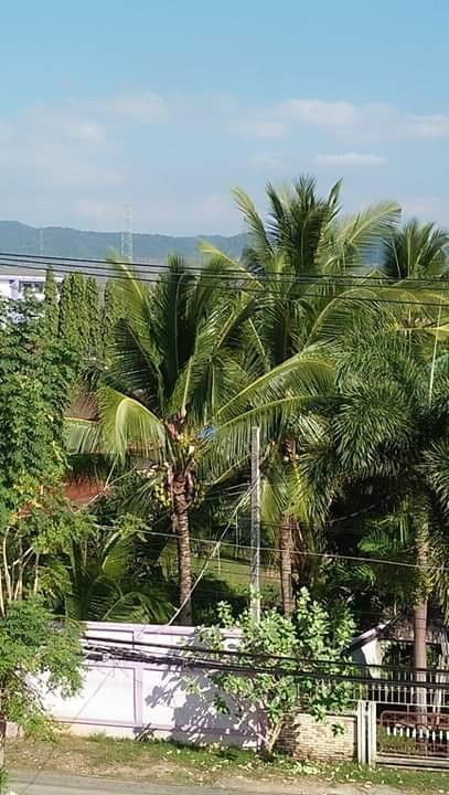Maesot Siri主图