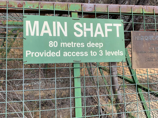 Ottery Arsenic Mine Site-Emmaville必去景点