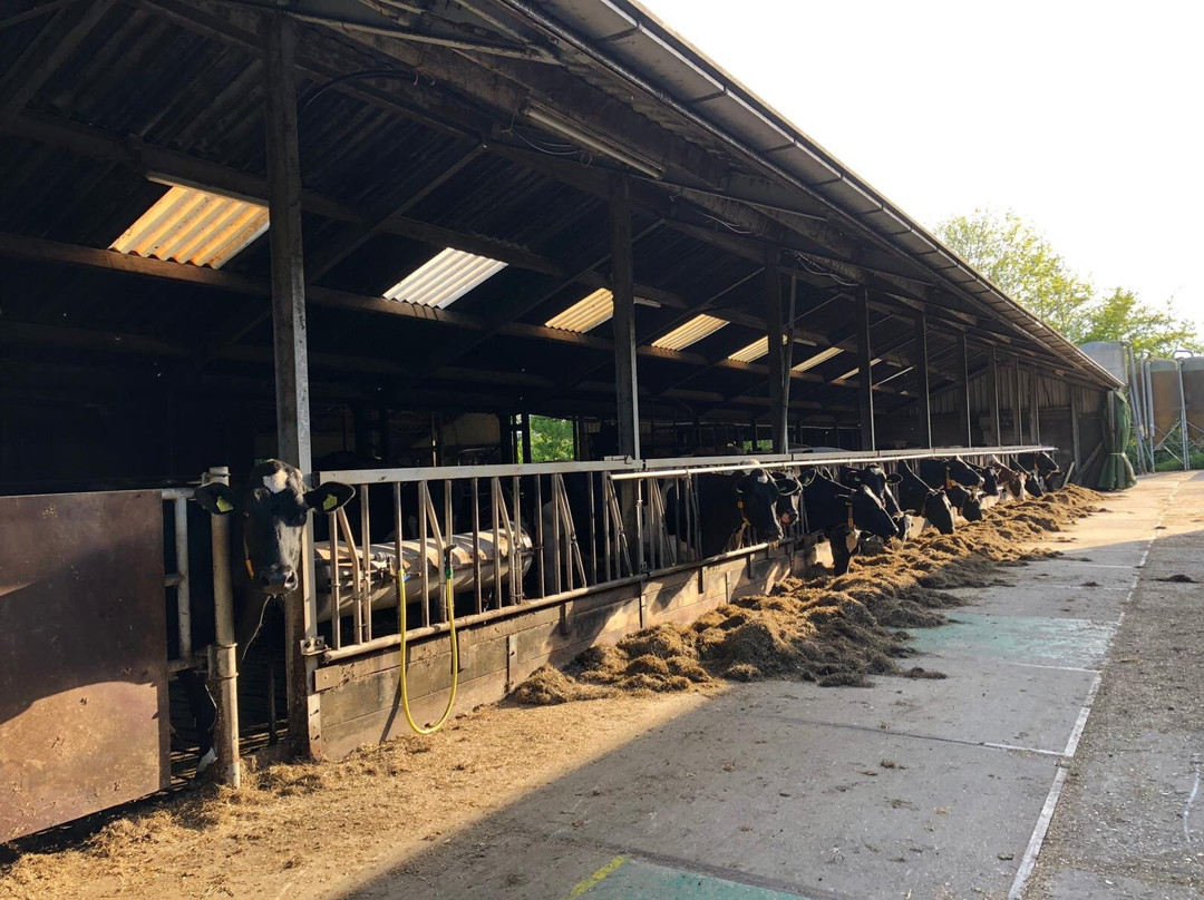 Boerderij de Verwondering主图