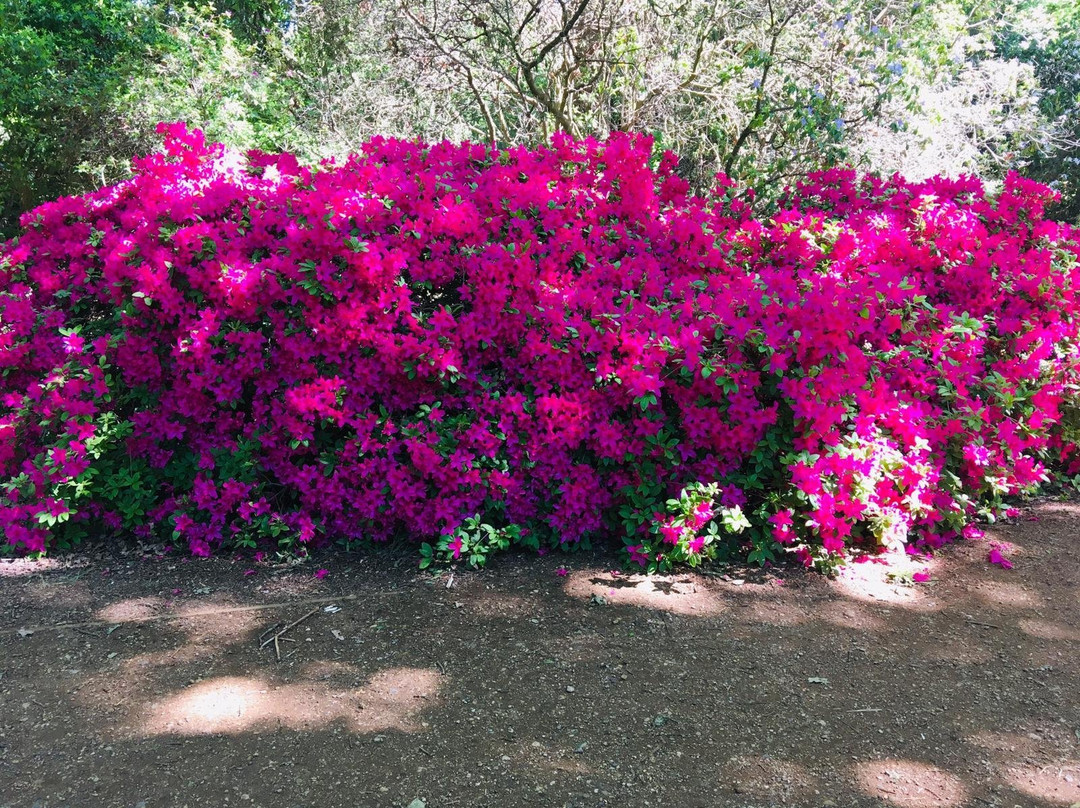 The Addington Golf Club-克罗伊登必去景点