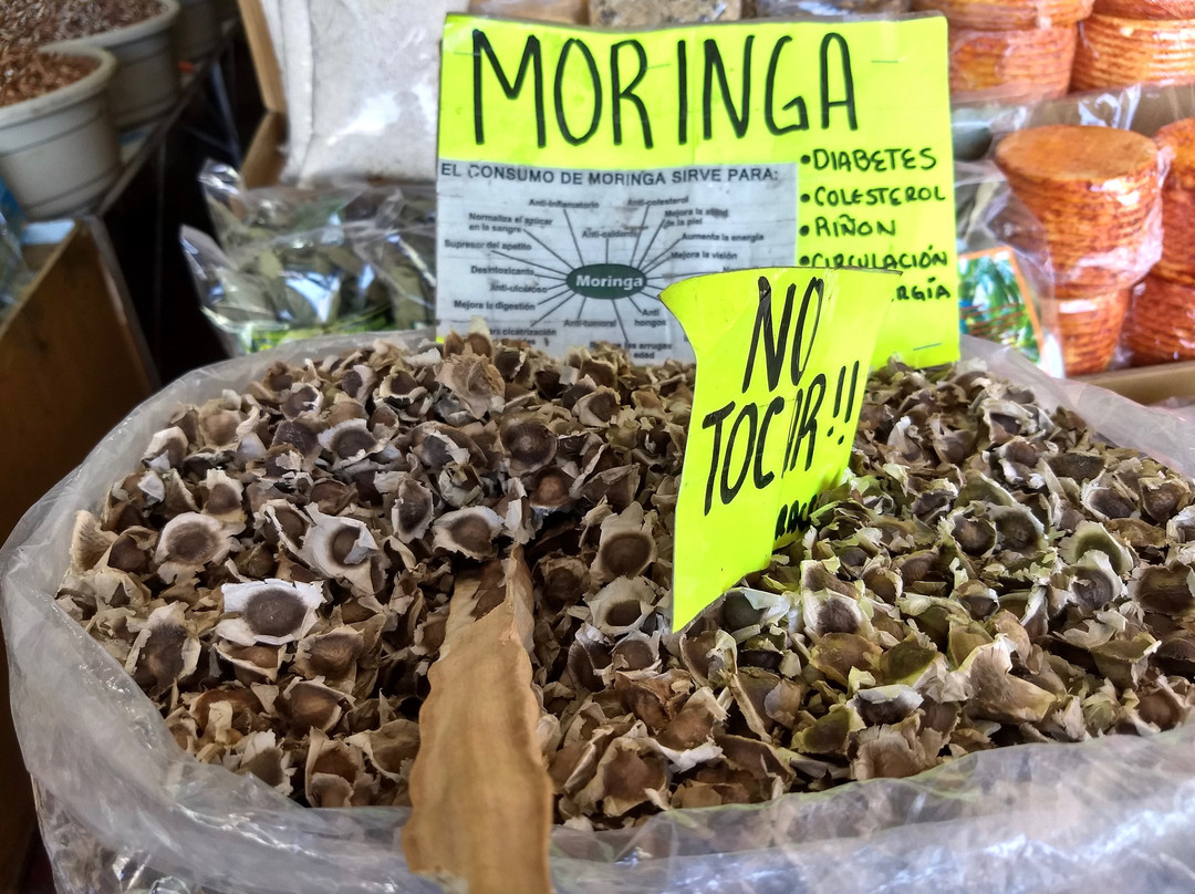 Mercado Hildago-蒂华纳必去景点