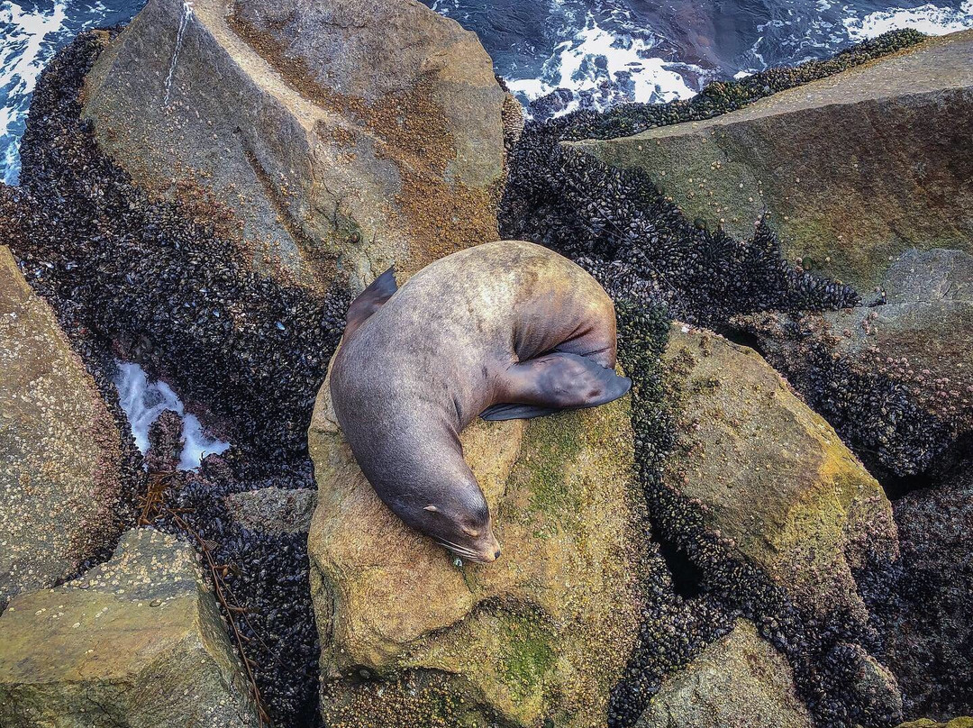 Breakwater-蒙特雷必去景点