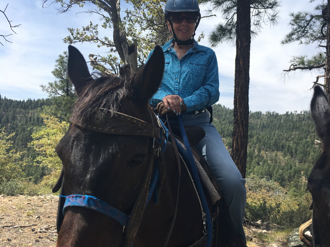 Prescott Horseback Riding景点图片