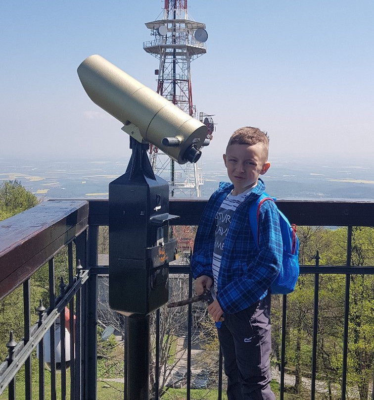 Wiezyca Mountain Observation Tower景点图片