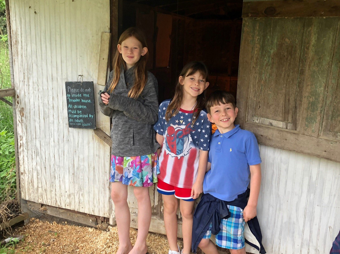 Hickory Nut Gap Farm景点图片