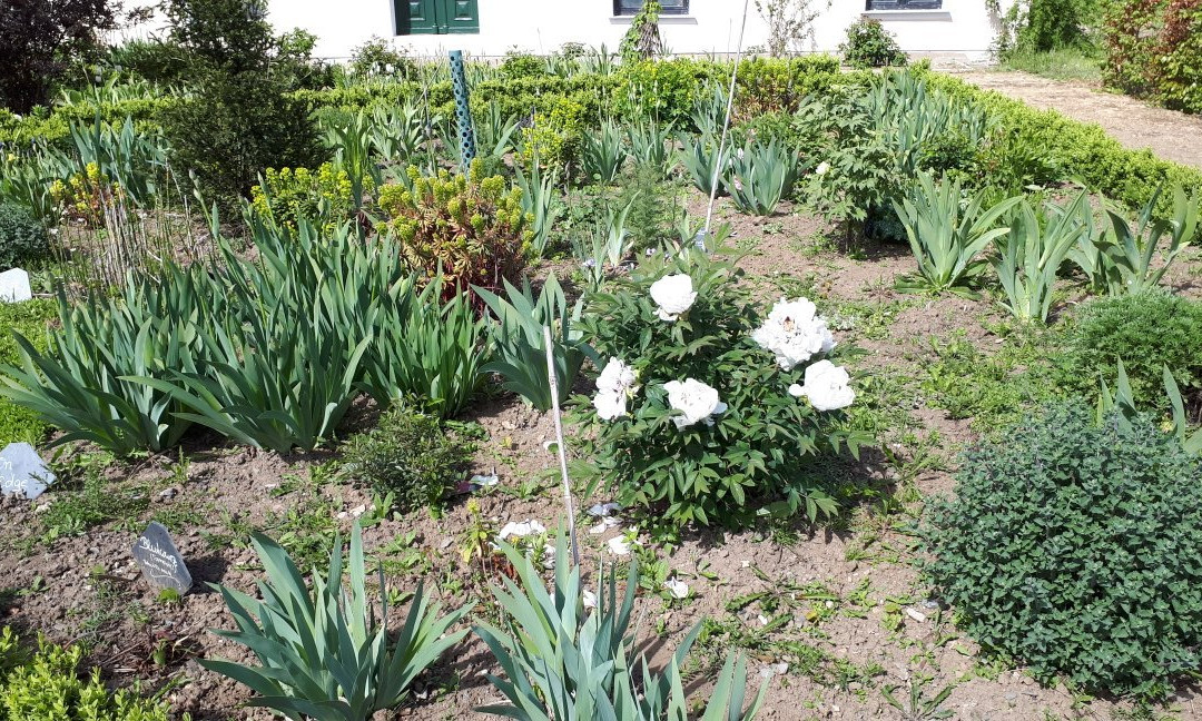 Mathildengarten-奎德林堡必去景点