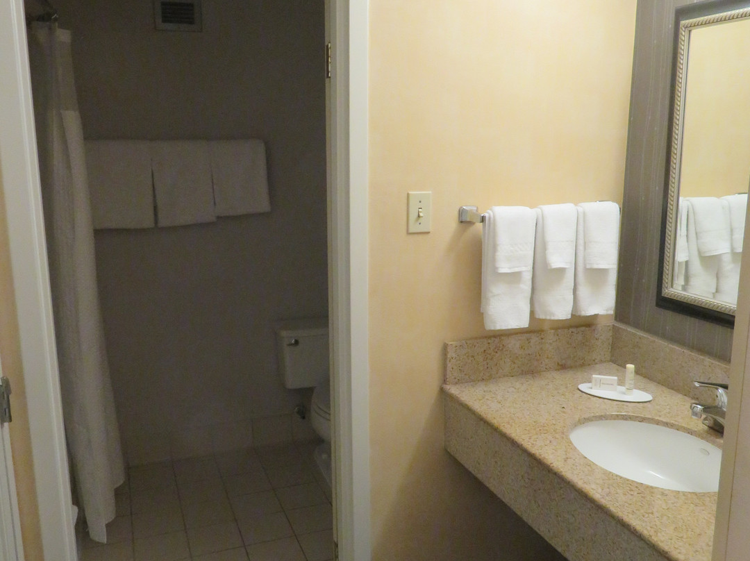 底特律沃伦万怡酒店主图