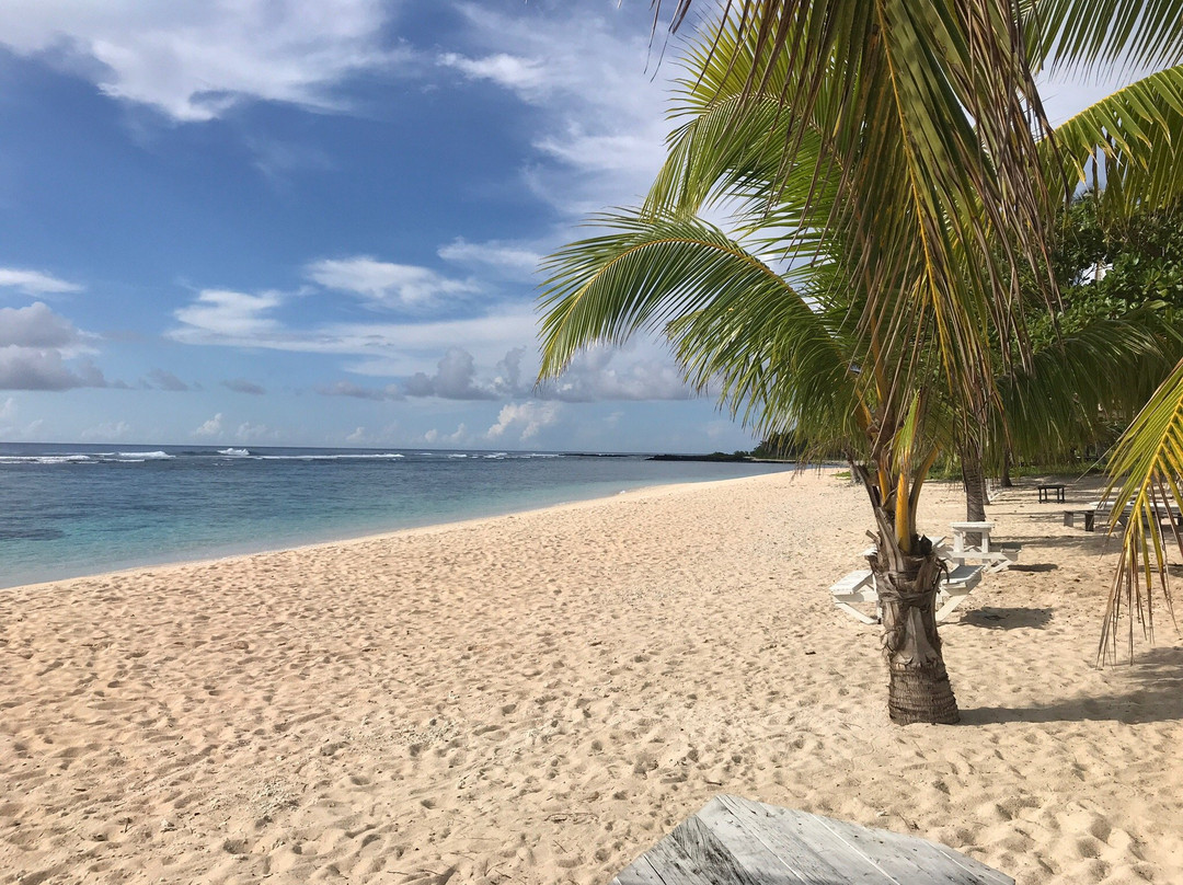 Falealupo Beach Fales主图