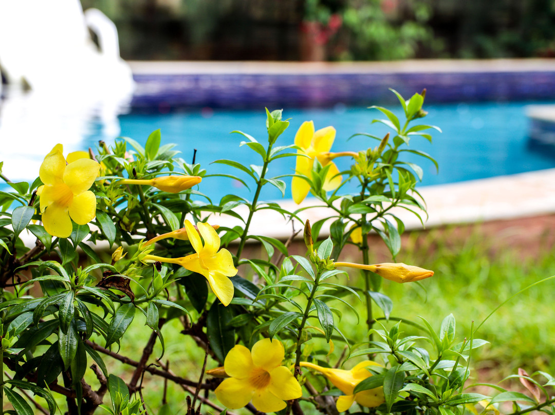 Imperial Palace Hotel主图