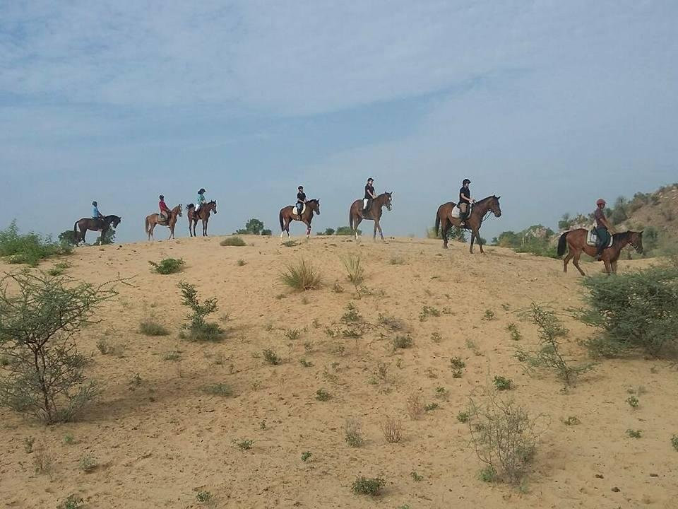 The Jaipur Village Horse Safari景点图片
