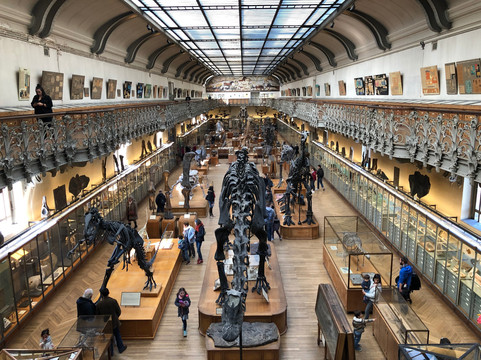 自然历史博物馆-巴黎必去景点