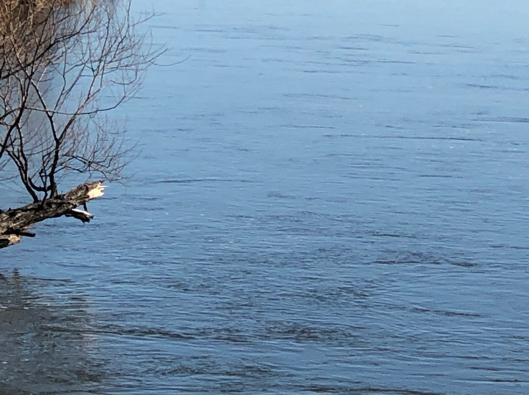 The Fishway-Thornbury必去景点