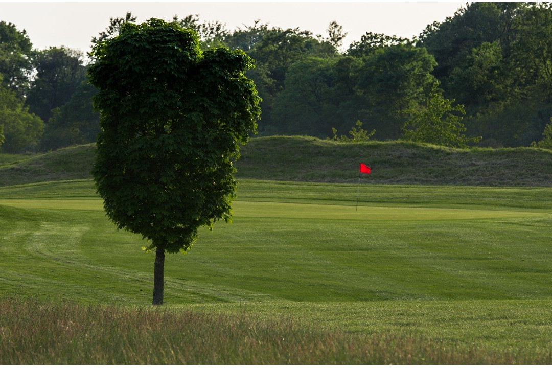 Wickham Park Golf Club景点图片
