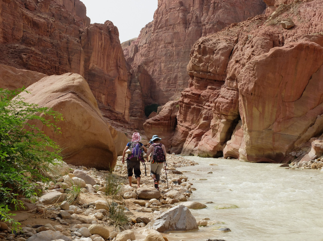 Desert Matters-恩戈地必去景点