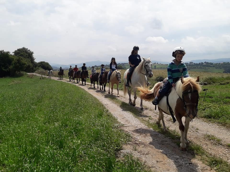 Paseos a Caballo La Robleda景点图片