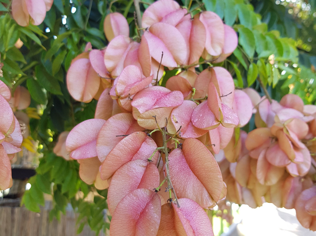 Aan De Vliet Holiday Resort主图