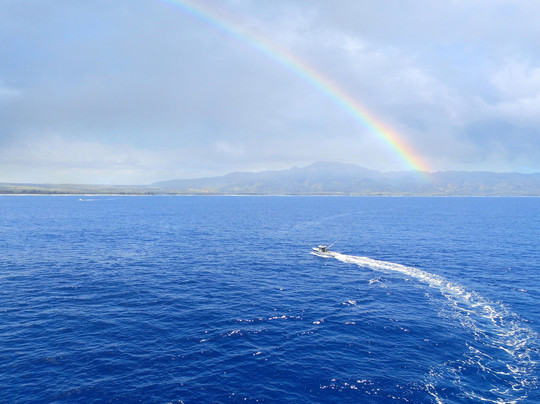Bob Marlin Charters-哈雷瓦必去景点
