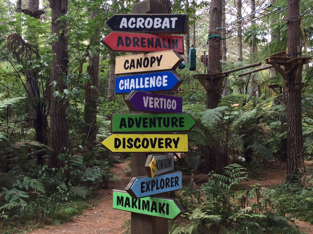 Adventure Forest景点图片