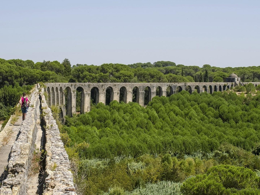 Évora Cultural Experience景点图片