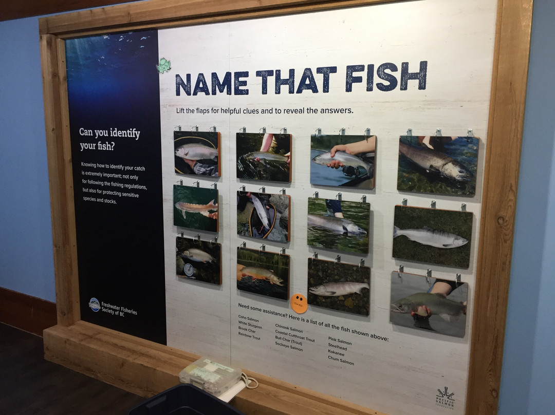 Fraser Valley Trout Hatchery & Visitor Centre景点图片