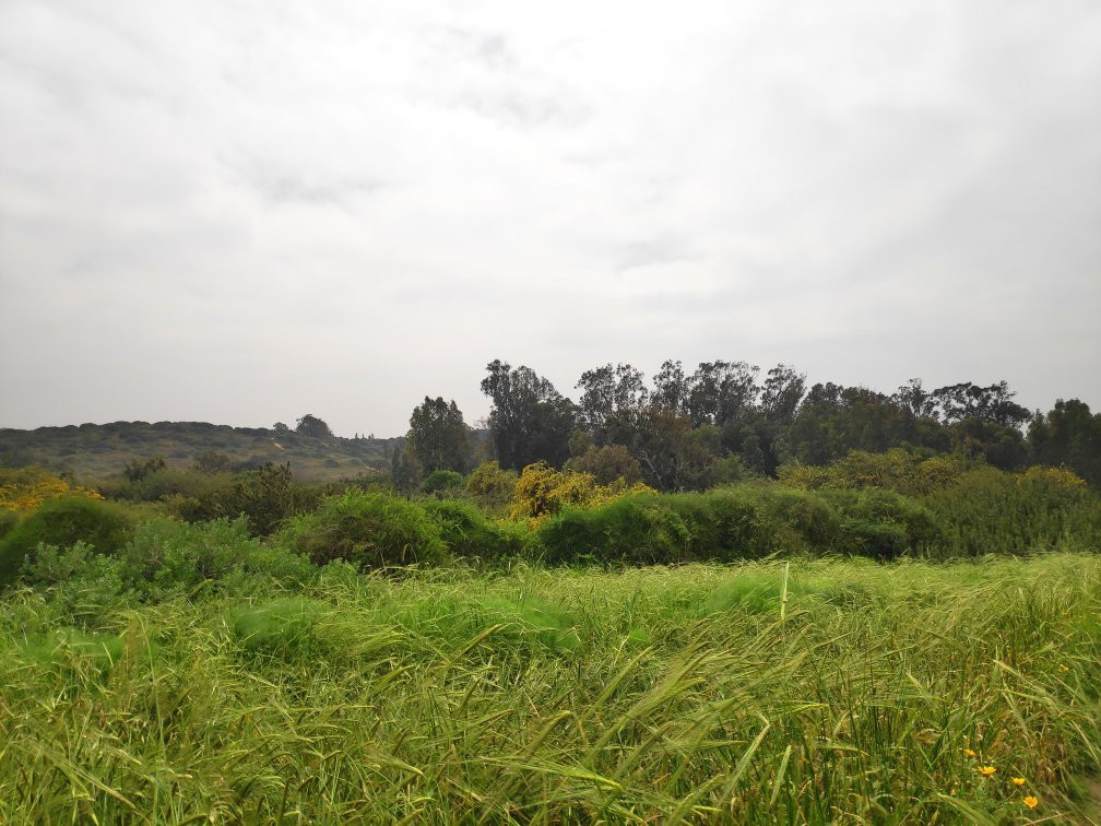 Alexander Stream Hof Bet Yanai National Park-Netanya必去景点