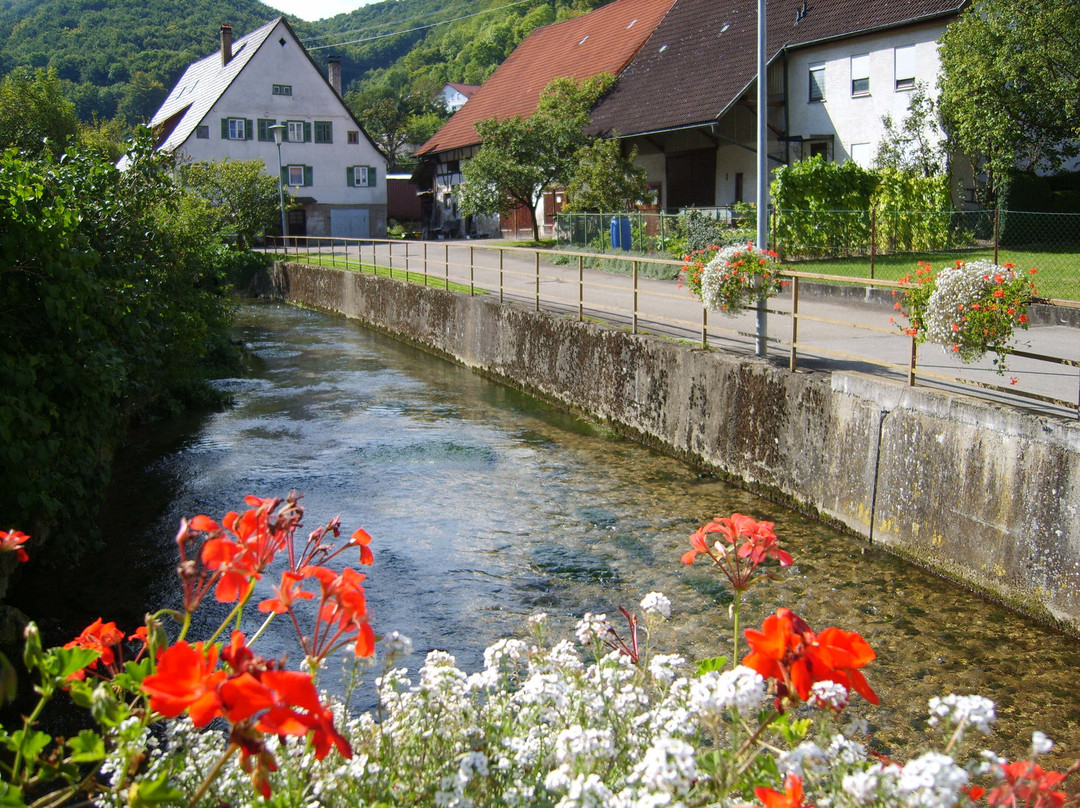 Wiesensteig酒店住宿-阿肯森特何狠布里克飯店