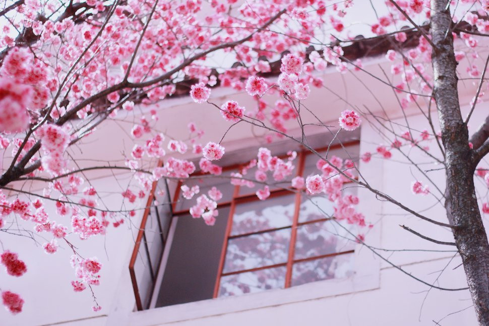 大理一方清尘海景酒店(大理洱海龙龛码头店）主图