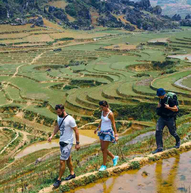 Mr Viet Tourism景点图片
