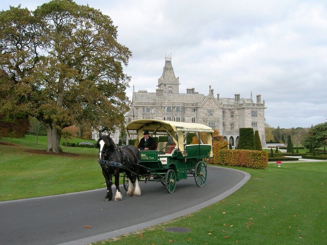 Limerick Carriage Tours-Adare必去景点