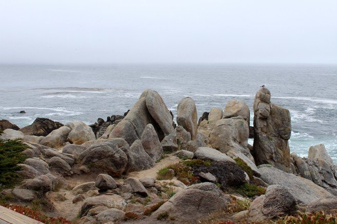 Pescadero Point-圆石滩必去景点