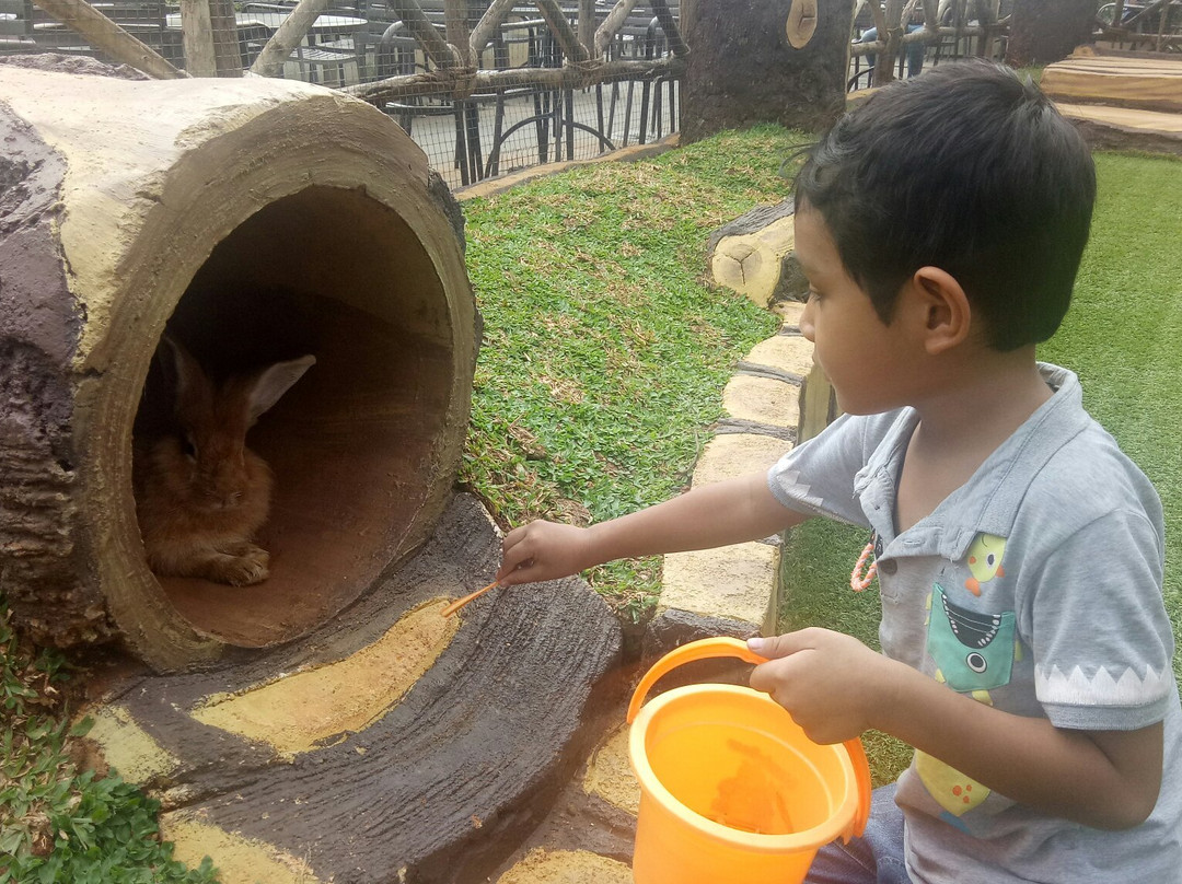 Rabbit Forest景点图片