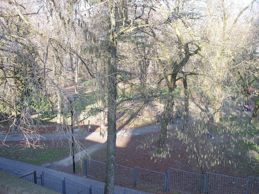 Parco Isola Carolina