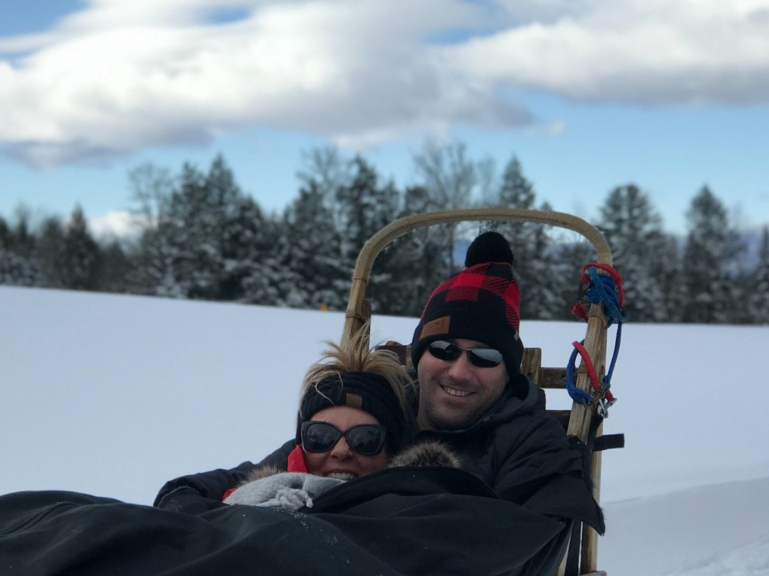Peace Pups Dog Sledding-Elmore必去景点