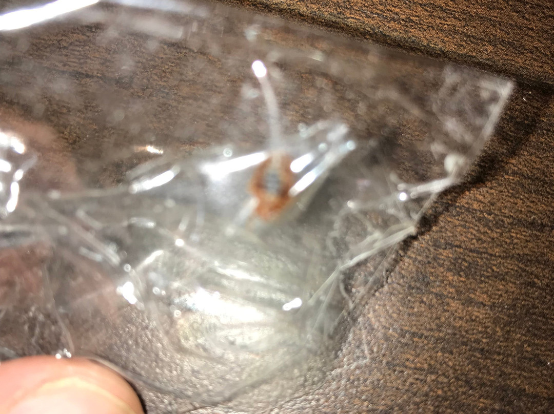 Meridian Inn & Suites主图