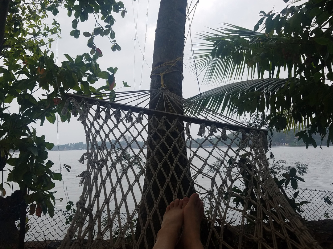 Ashtamudi Villas主图