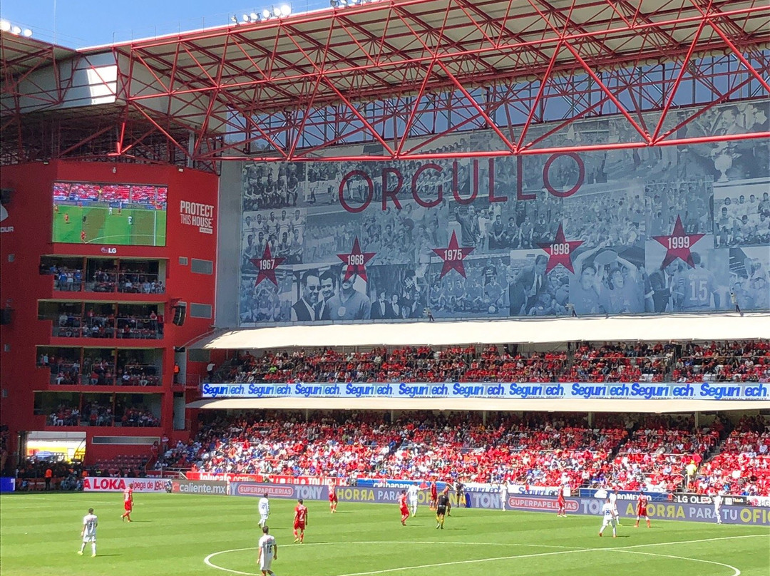 Estadio Nemesio Diez景点图片