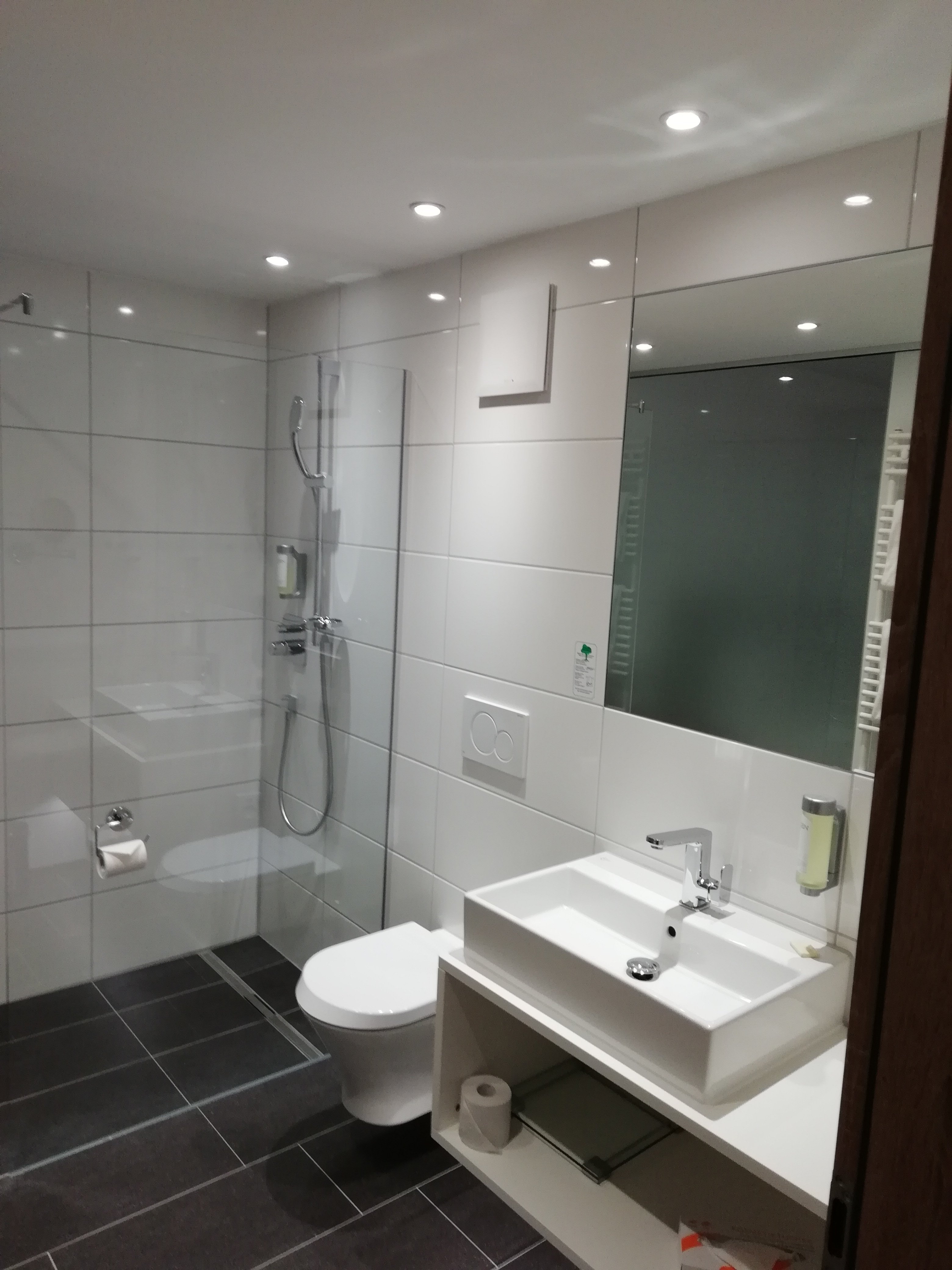 Vital Hotel an der Therme GmbH-浴室