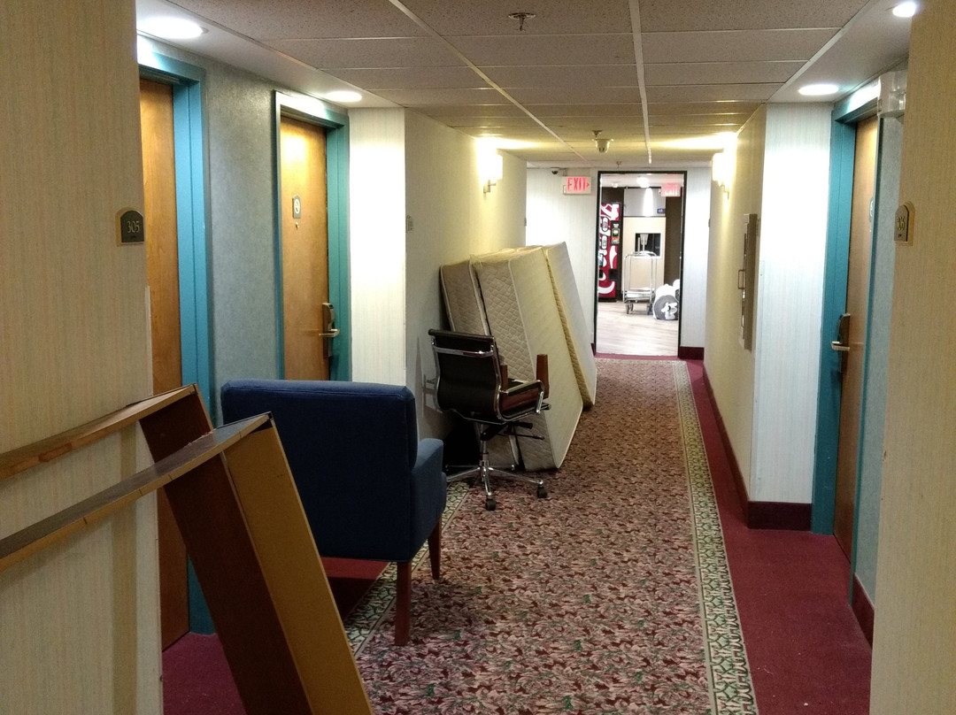 Comfort Inn Virginia Horse Center主图