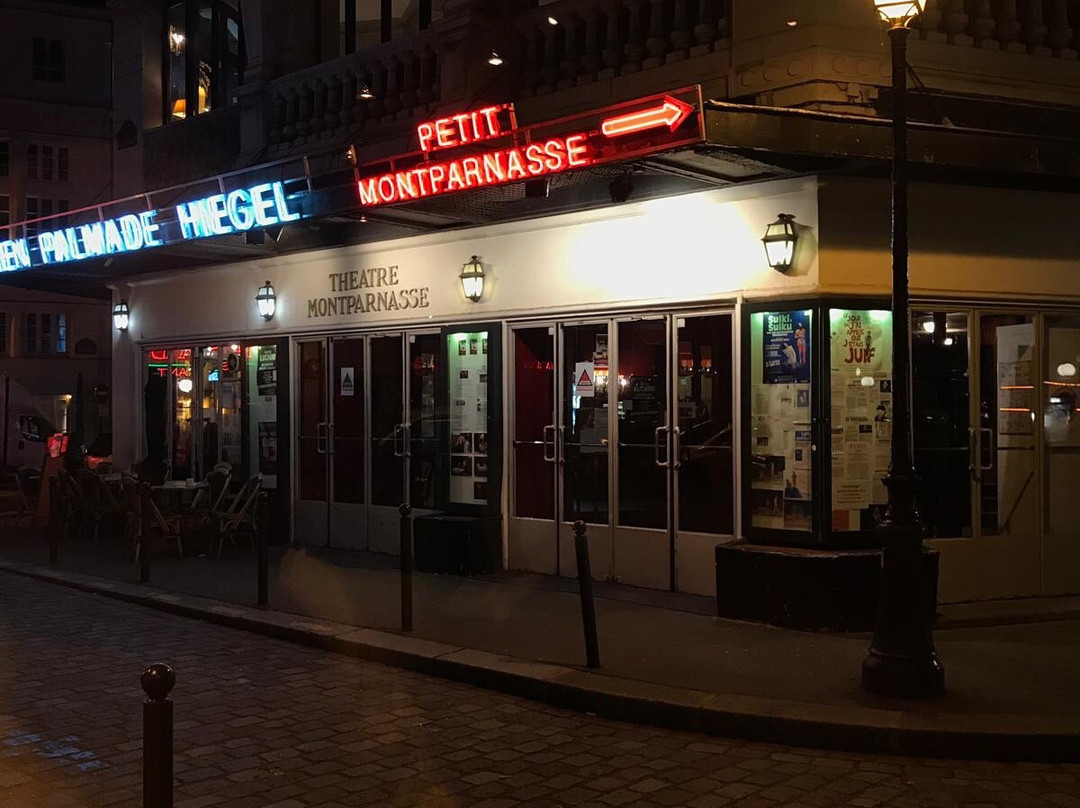 Théâtre Montparnasse et Petit Montparnasse景点图片