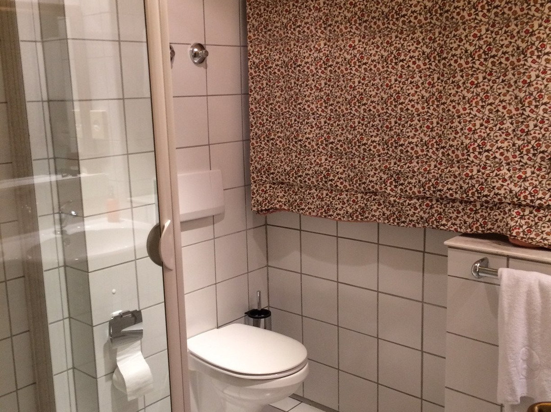 Hotel Drahthammer Schlöß'l主图