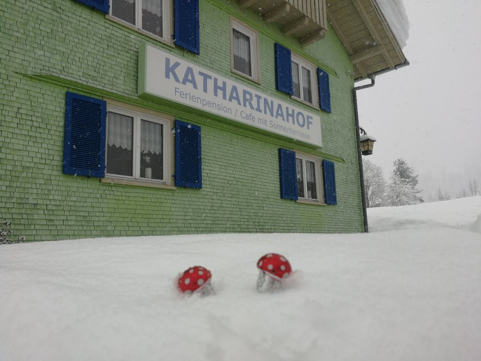 Katharinahof Pension主图
