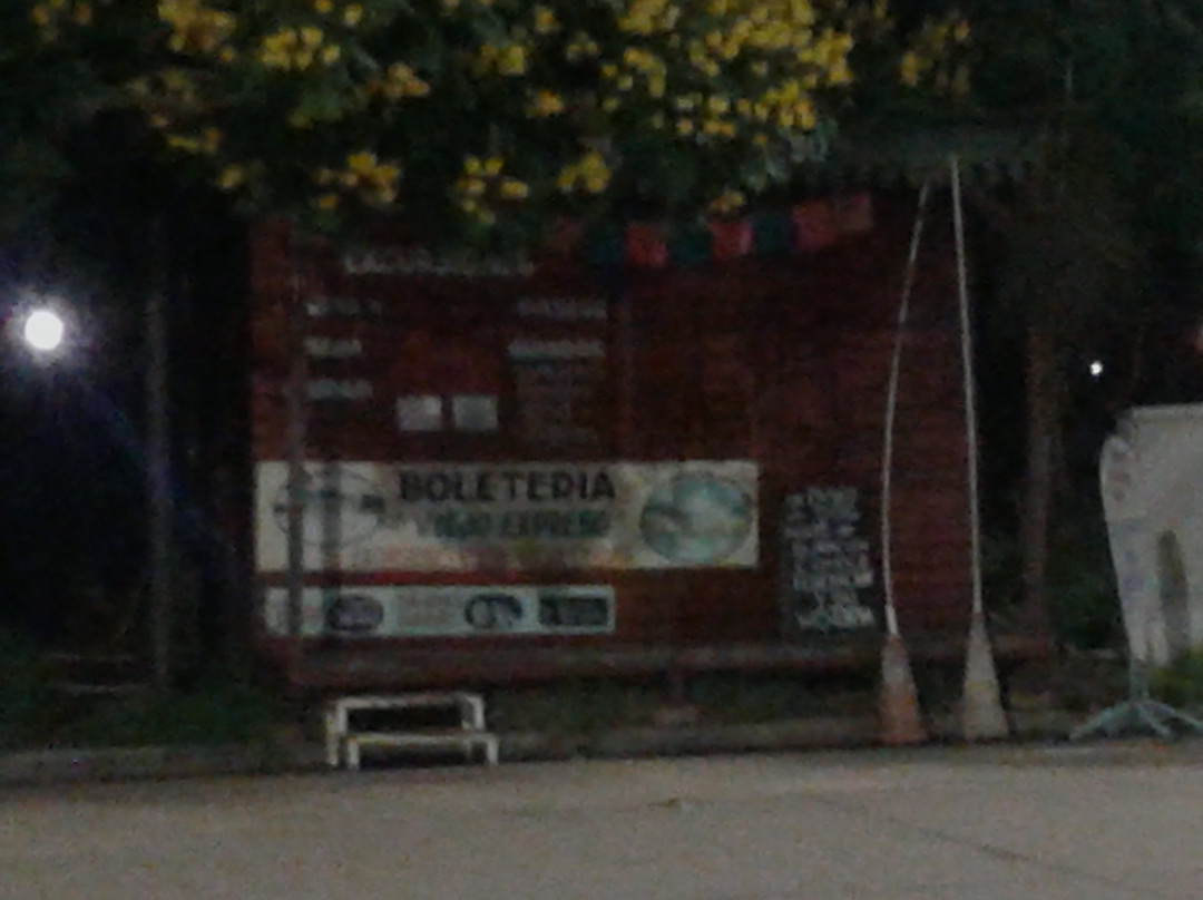 Tren Viejo Expreso景点图片