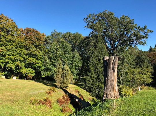 Uzukalnis旅游攻略图片