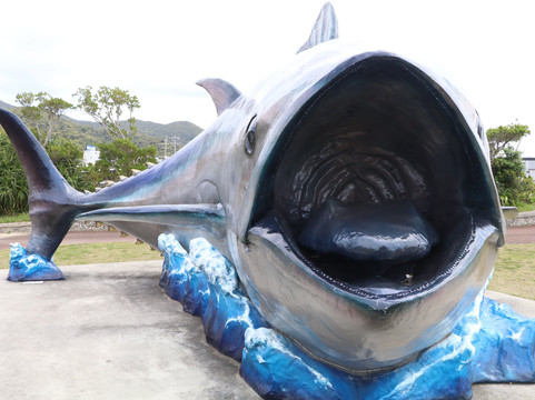 Tuna Monument-濑户内町必去景点