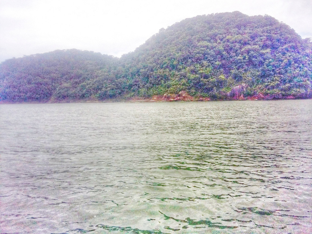 Arpoador Beach景点图片
